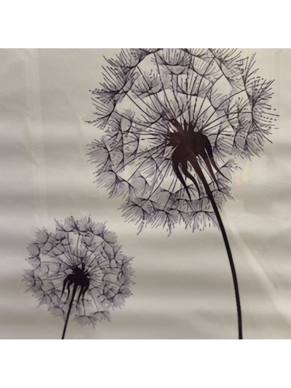 Dandelion Canvas Artwork Rolled - Picture 2 of 2